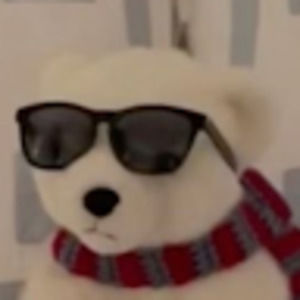 Meet your Posher, Scarlett